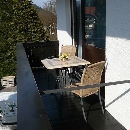 Schwarzwaldhotel Sonne 3*